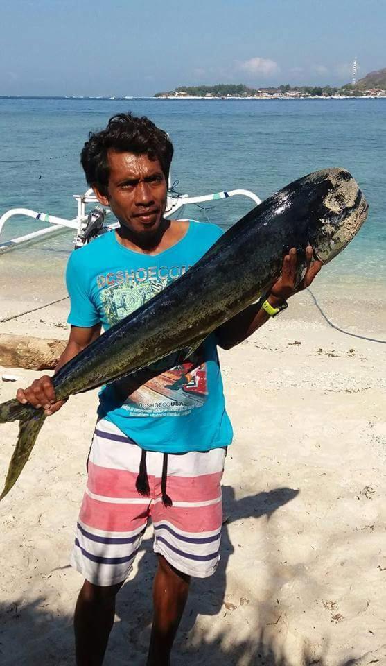 Sasak Island Bungalows غيلي مينو المظهر الخارجي الصورة